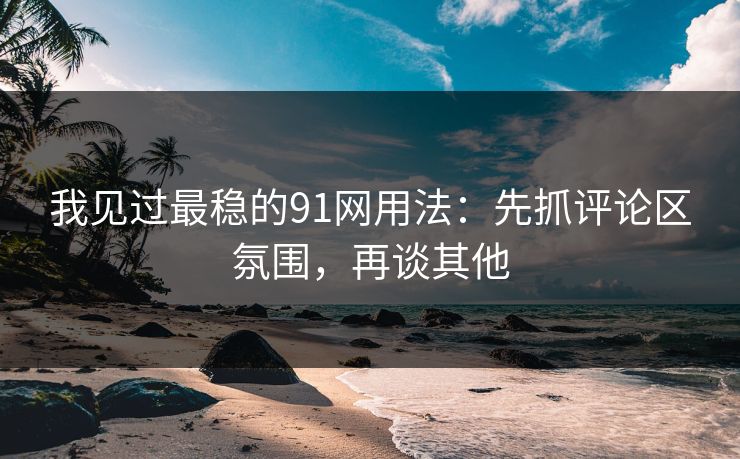 我见过最稳的91网用法:先抓评论区氛围,再谈其他