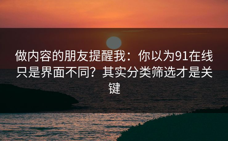 做内容的朋友提醒我:你以为91在线只是界面不同?其实分类筛选才是关键
