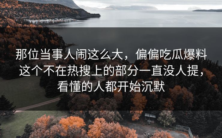 那位当事人闹这么大，偏偏吃瓜爆料这个不在热搜上的部分一直没人提，看懂的人都开始沉默